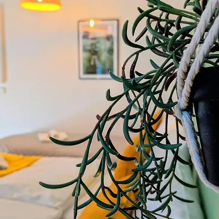 Uhlpartment - Im Herzen Von * ザルツヴェーデル