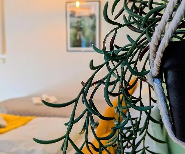 Uhlpartment - Im Herzen Von * Salzwedel